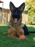 /album/fotogaleria-photos2/hlava-eli-jpg/